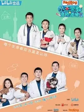 《小主安康－宠物医院2》：萌宠治愈力爆棚，比“童言有计 第二季”还搞笑！
