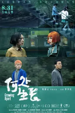 《何处生长》：一场爆笑又惊险的“搞笑冒险”，傅先生他甘愿俯首为哪般？